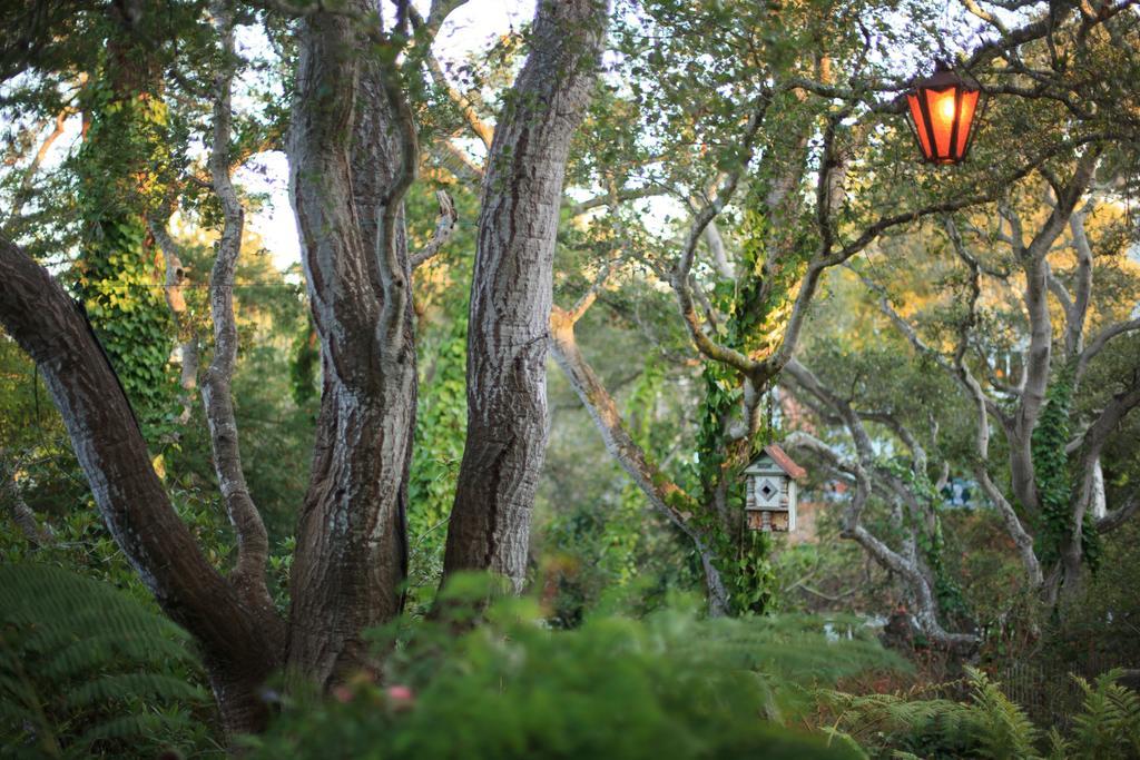 Old Monterey Inn Eksteriør bilde